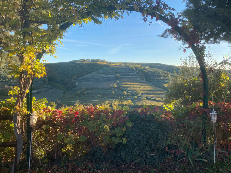 CasaZen: Olio e Vini Biologici della Valpolicella